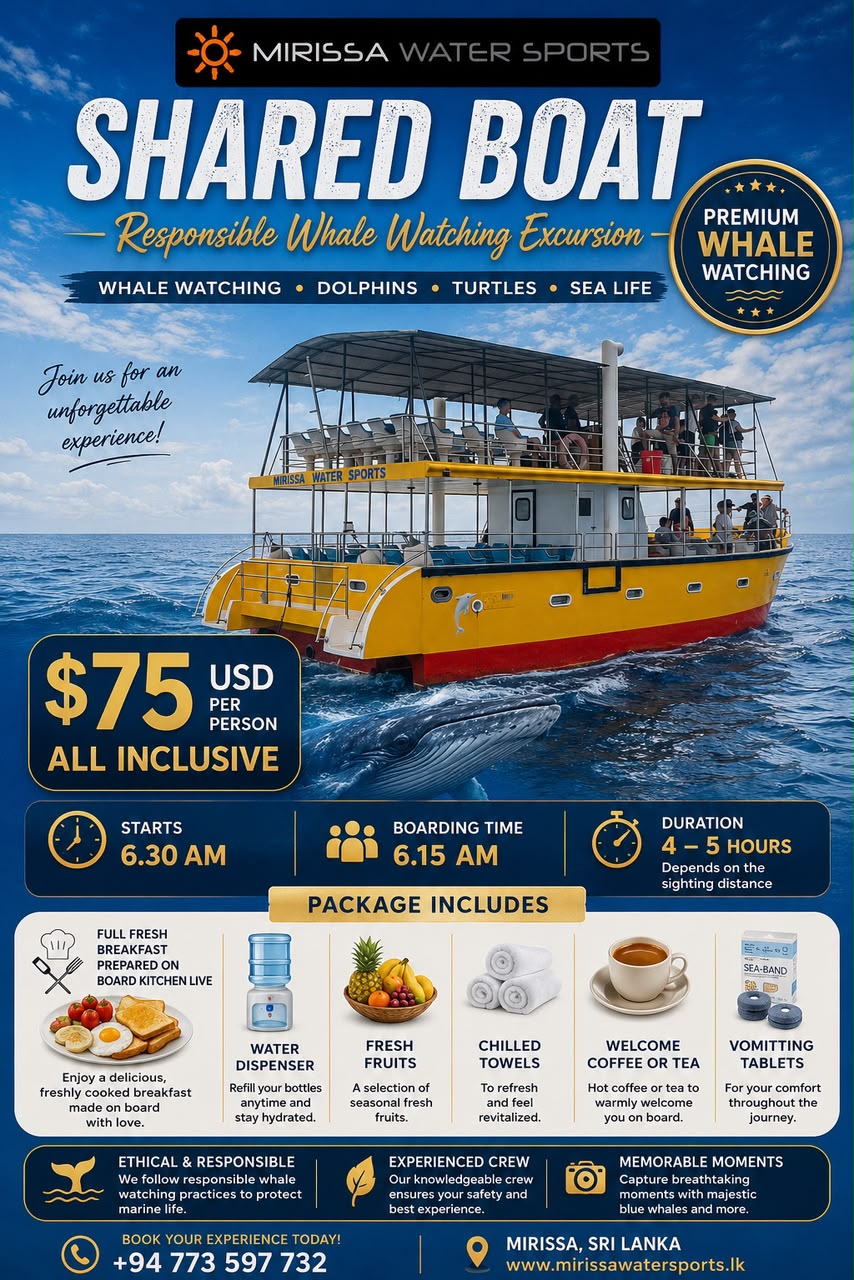 Shared boat responsible whale watching excursion - $75 USD per person, all inclusive